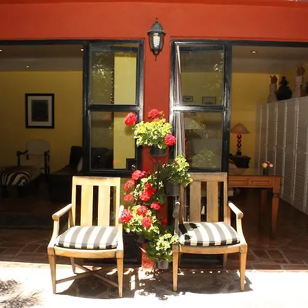 Casa Cinco Patios Hotel Boutique-2
